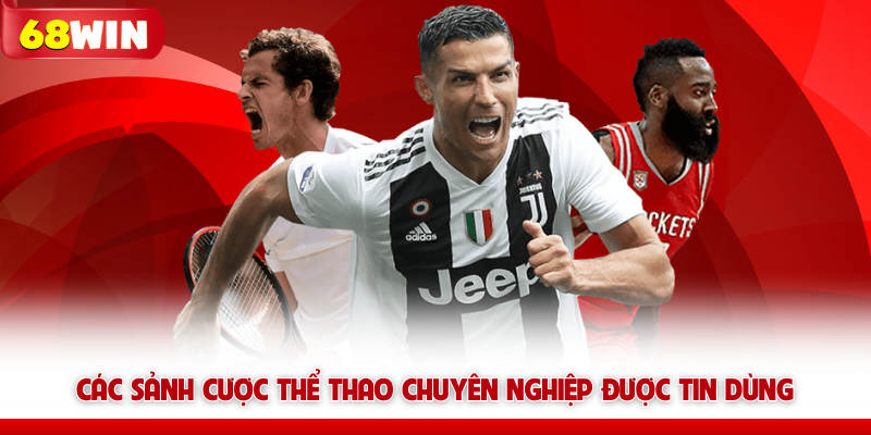 Các sảnh cược thể thao chuyên nghiệp được tin dùng